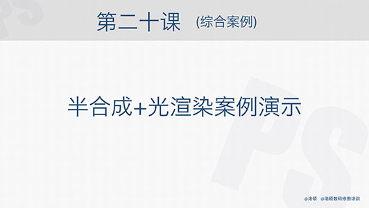 20.综合案例 半合成